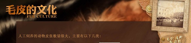 哈尔滨森林博物馆展厅触摸屏软件查询系统