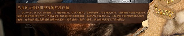 哈尔滨森林博物馆展厅触摸屏软件查询系统